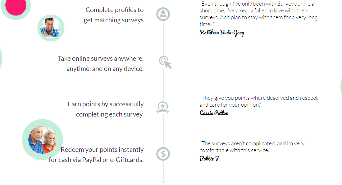Survey junkie