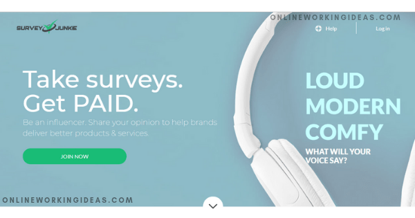 Surveyjunkie