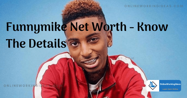 funnymike net worth